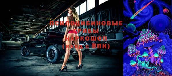 молекула духа Строитель