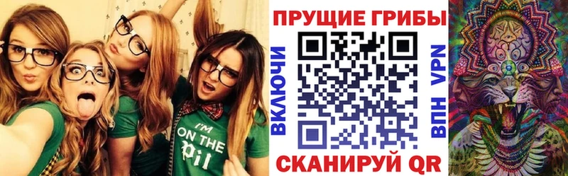 Псилоцибиновые грибы Psilocybine cubensis  Купить где  Нижний Новгород 